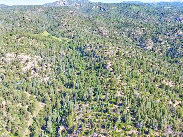 21691 County Rd 67, Penrose, CO 81223 - photo 38