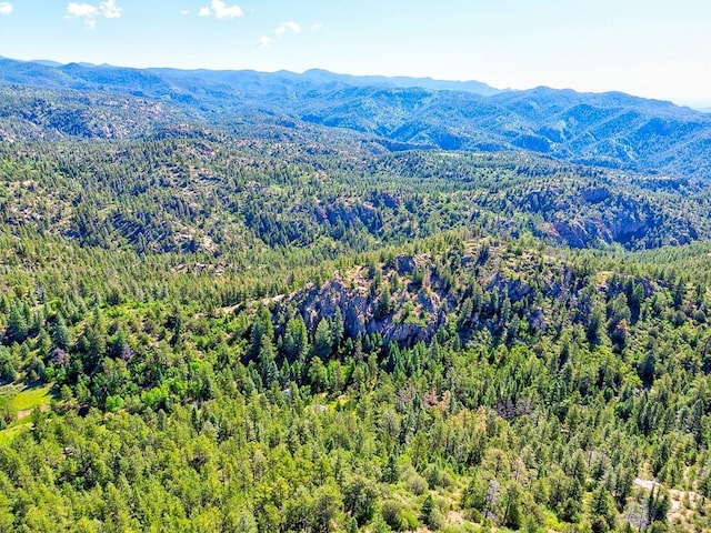 21691 County Rd 67, Penrose, CO 81223 - photo 44