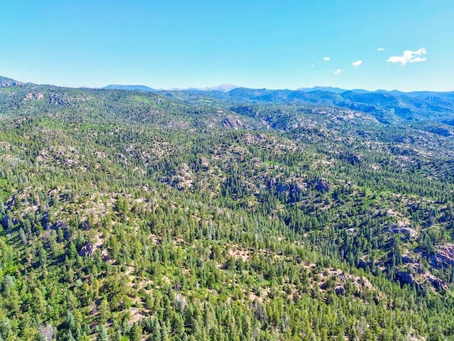 21691 County Rd 67, Penrose, CO 81223 - photo 37