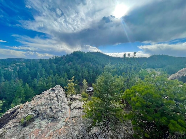 21691 County Rd 67, Penrose, CO 81223 - photo 28