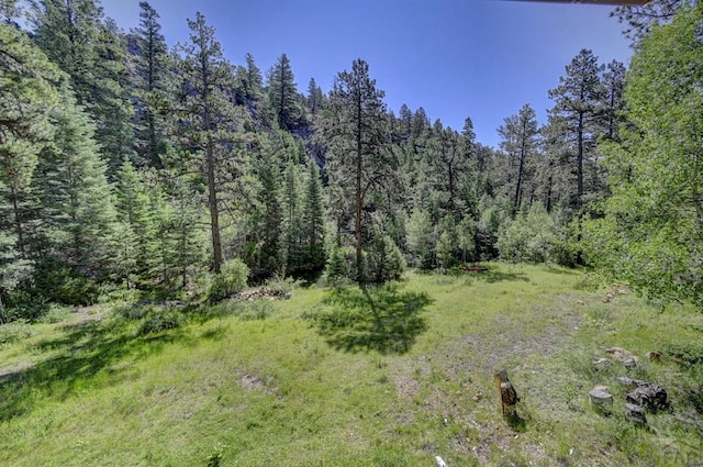 21691 County Rd 67, Penrose, CO 81223 - photo 27