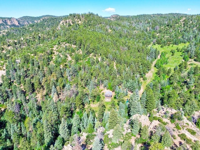 21691 County Rd 67, Penrose, CO 81223 - photo 39