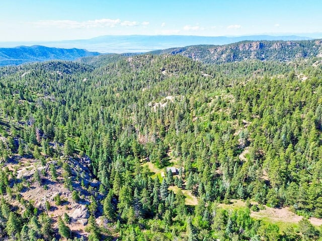 21691 County Rd 67, Penrose, CO 81223 - photo 41