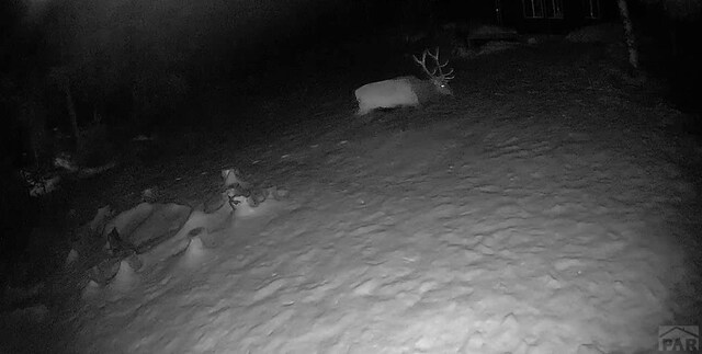 21691 County Rd 67, Penrose, CO 81223 - photo 36