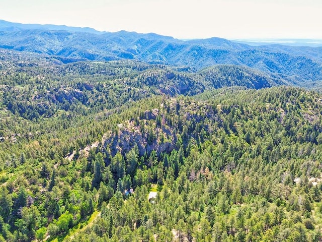 21691 County Rd 67, Penrose, CO 81223 - photo 45