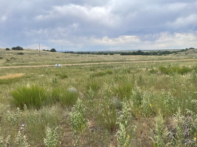 Listing photo 3 for LOT272 Colorado Blvd, Colorado City CO 81019