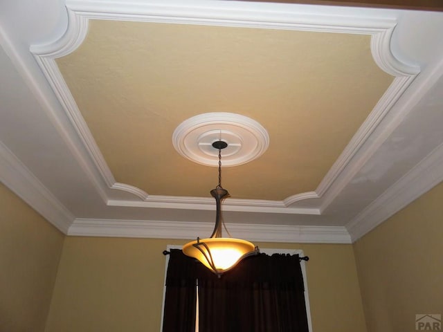 interior details with ornamental molding and a raised ceiling