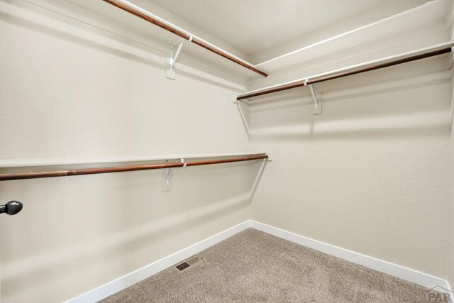 spacious closet featuring carpet and visible vents