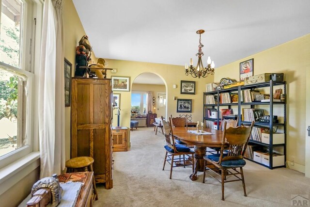222 Kansas Ave, Walsenburg, CO 81089 - photo 14