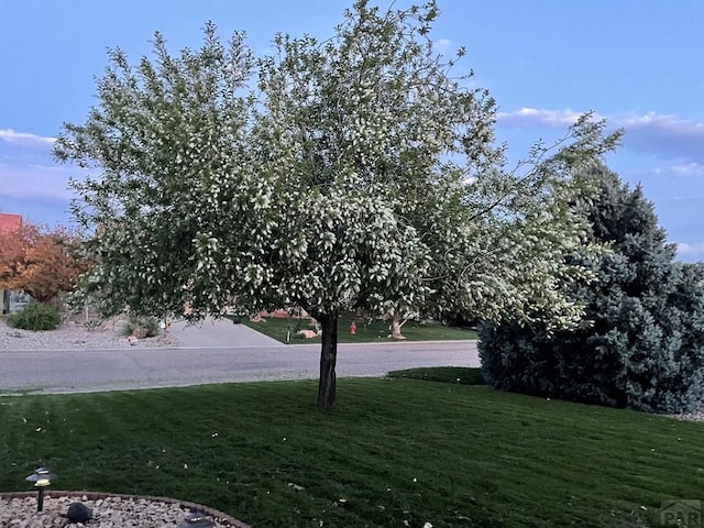 115 S Glenrose Dr, Pueblo West, CO 81007 - photo 2