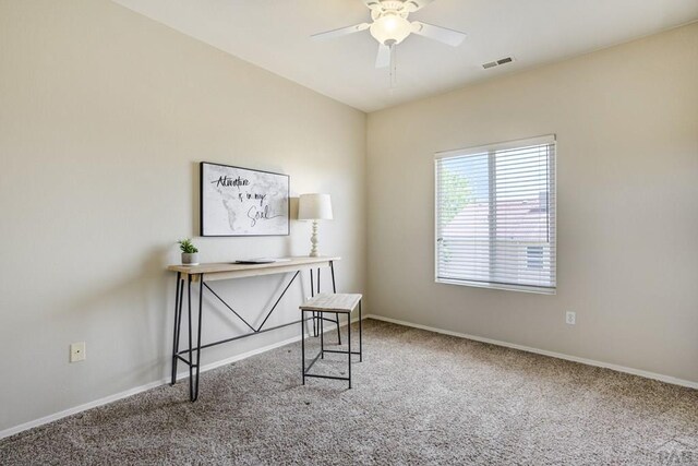 115 S Glenrose Dr, Pueblo West, CO 81007 - photo 28