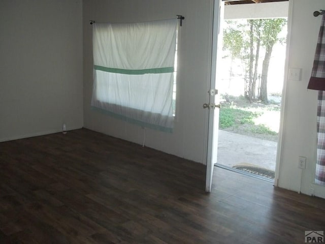 foyer with dark wood finished floors