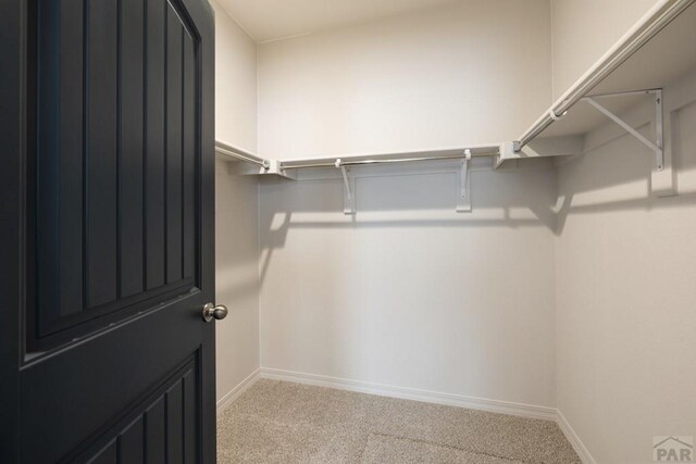 spacious closet featuring light carpet