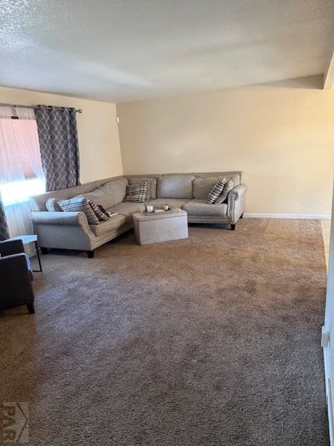 3 Chism Trl, Pueblo, CO 81008 - photo 4