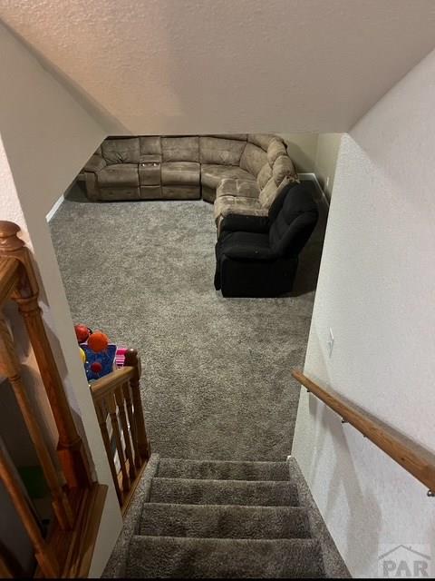 3 Chism Trl, Pueblo, CO 81008 - photo 20
