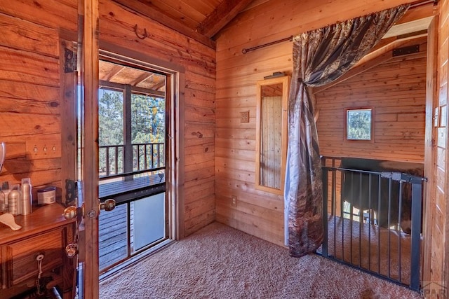 24401 County Rd 44, Aguilar, CO 81020 - photo 20