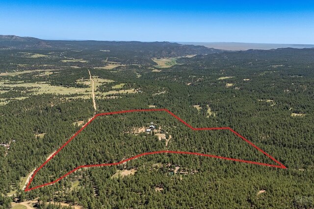 24401 County Rd 44, Aguilar, CO 81020 - photo 44