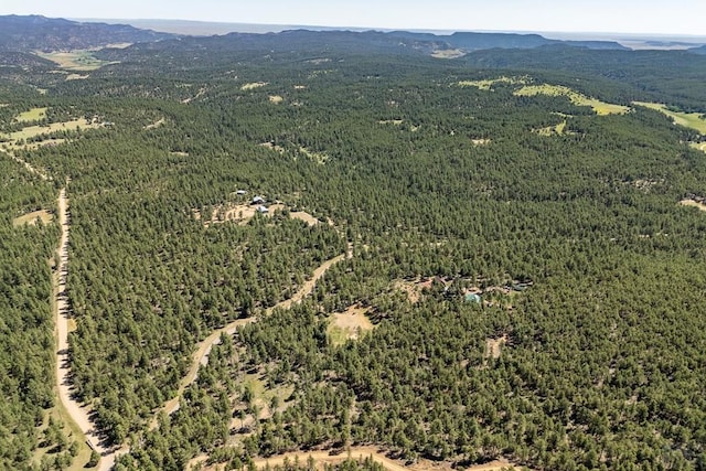 24401 County Rd 44, Aguilar, CO 81020 - photo 46