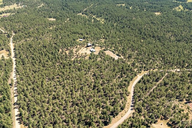 24401 County Rd 44, Aguilar, CO 81020 - photo 47