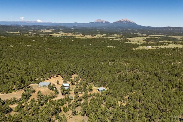24401 County Rd 44, Aguilar, CO 81020 - photo 49