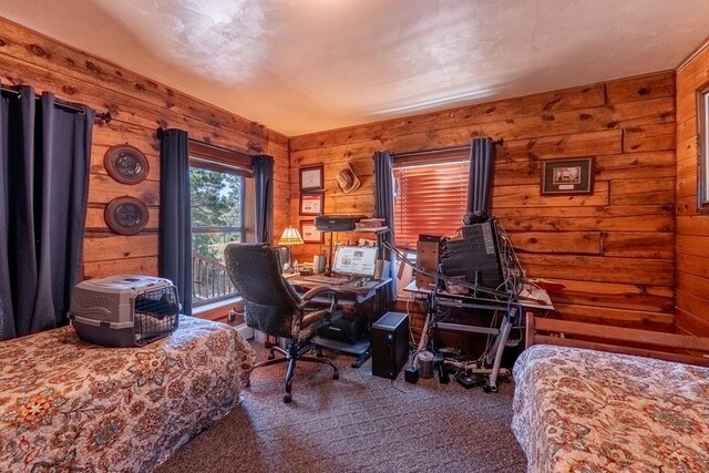 24401 County Rd 44, Aguilar, CO 81020 - photo 16