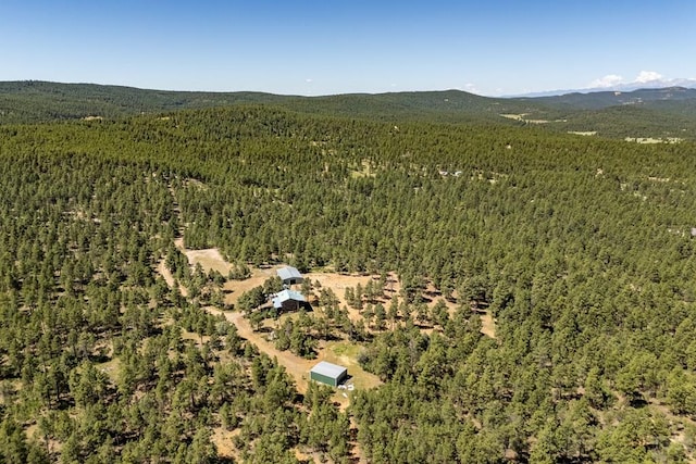 24401 County Rd 44, Aguilar, CO 81020 - photo 48