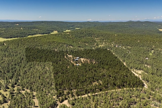 24401 County Rd 44, Aguilar, CO 81020 - photo 45