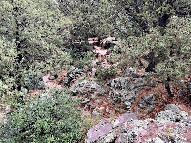 1771 Sunrise Rd, Walsenburg, CO 81089 - view of local wilderness featuring a view of trees