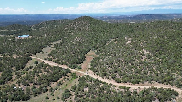 15 Picketwire Rd, Trinidad, CO 81082 - photo 17