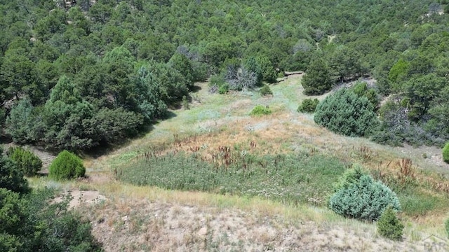 15 Picketwire Rd, Trinidad, CO 81082 - photo 13