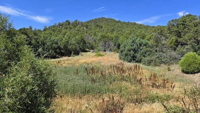 15 Picketwire Rd, Trinidad, CO 81082 - photo 5