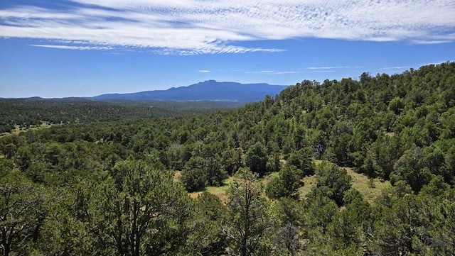 15 Picketwire Rd, Trinidad, CO 81082 - photo 2