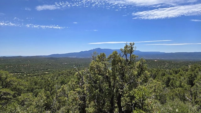 15 Picketwire Rd, Trinidad, CO 81082 - photo 19