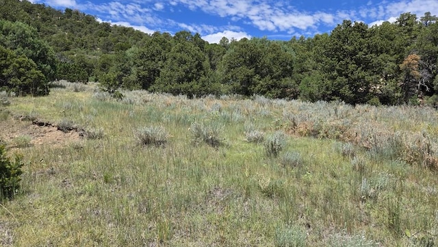 15 Picketwire Rd, Trinidad, CO 81082 - photo 11