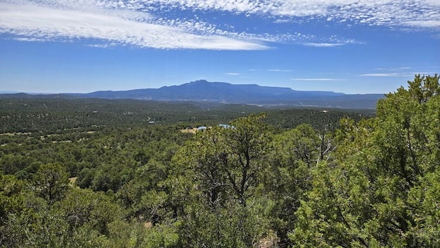 15 Picketwire Rd, Trinidad, CO 81082 - photo 18
