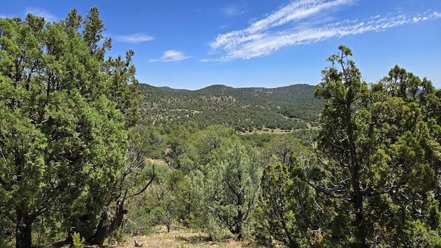 15 Picketwire Rd, Trinidad, CO 81082 - photo 9