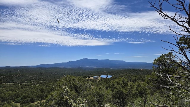 15 Picketwire Rd, Trinidad, CO 81082 - photo 1