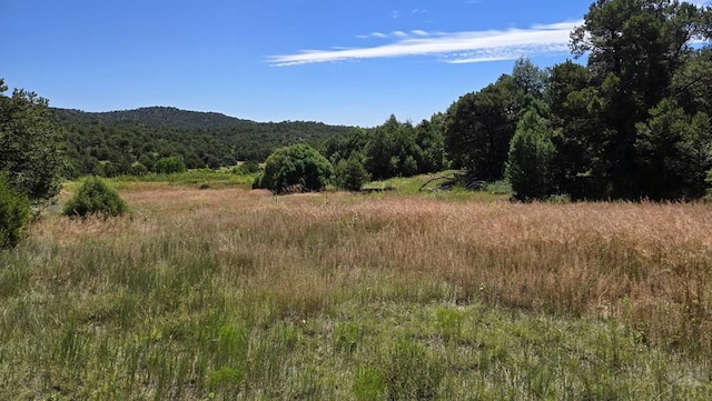 15 Picketwire Rd, Trinidad, CO 81082 - photo 4