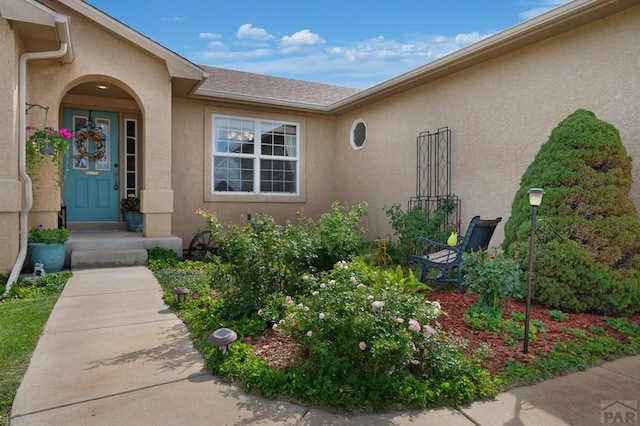 view of exterior entry with a shingled roof and stucco siding