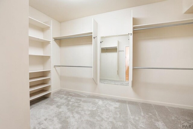 spacious closet with light carpet