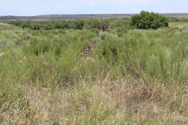 35345 Hidden Mesa Dr, Pueblo CO, 81006 land for sale