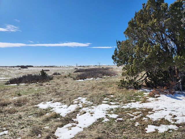 TBD Greenhorn Rd, Colorado City, CO 81019 - photo 10