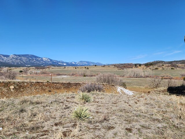 TBD Greenhorn Rd, Colorado City, CO 81019 - photo 9