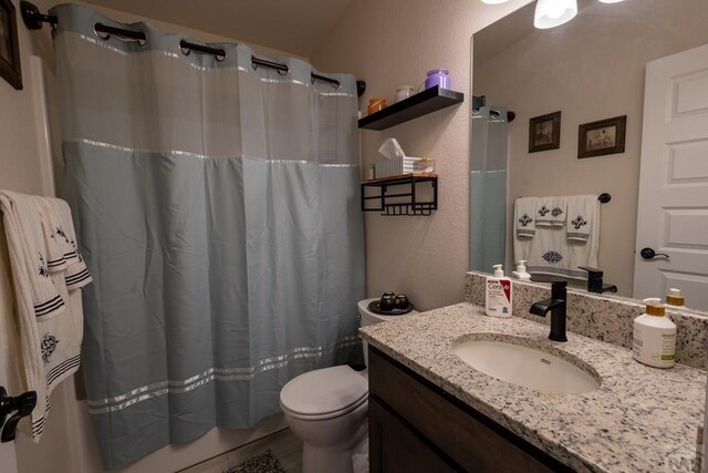 full bathroom featuring toilet, a shower with shower curtain, and vanity