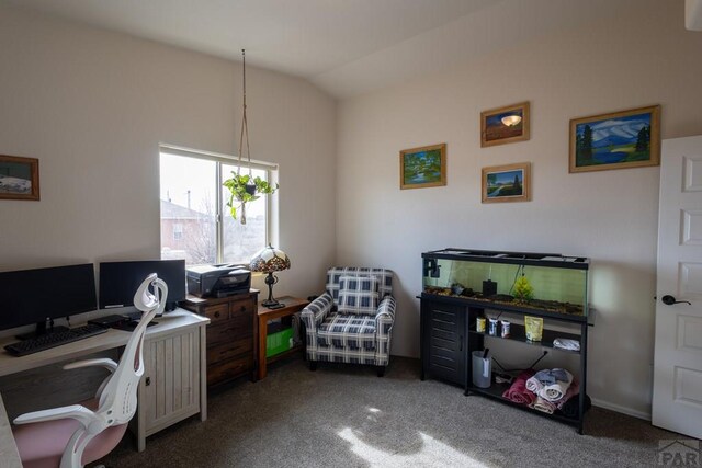 office space featuring vaulted ceiling