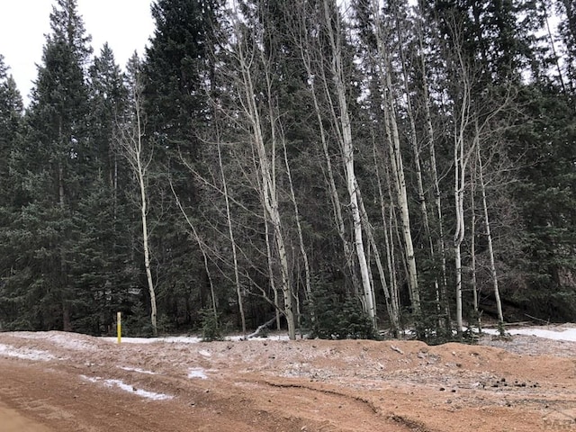 864 Wellington Dr, Cripple Creek, CO 80813 - photo 4
