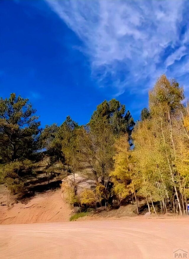 864 Wellington Dr, Cripple Creek, CO 80813 - photo 2