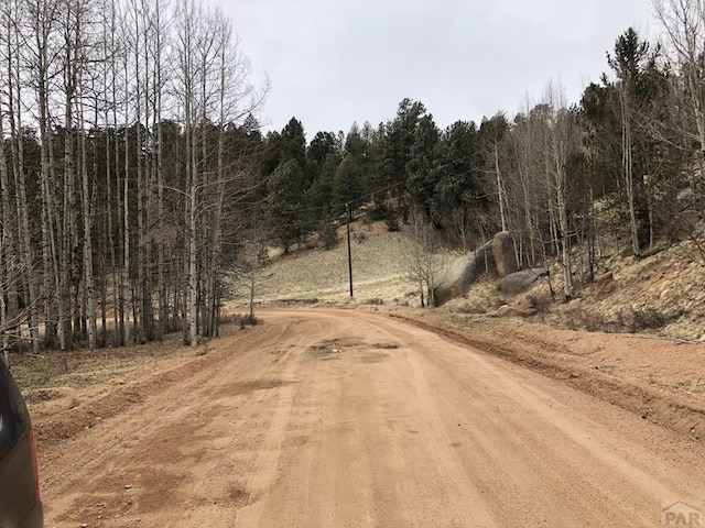 864 Wellington Dr, Cripple Creek, CO 80813 - photo 5