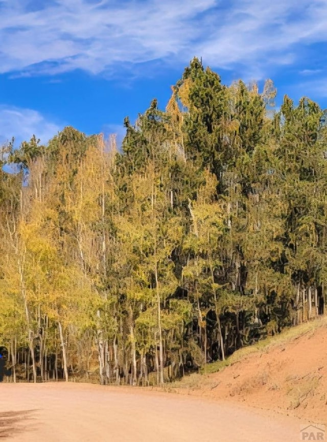 864 Wellington Dr, Cripple Creek, CO 80813 - photo 1