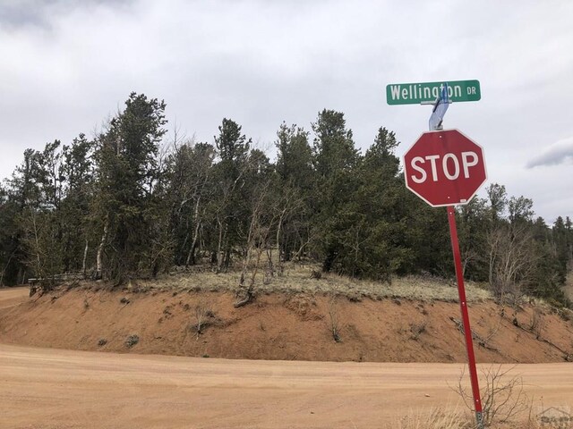 864 Wellington Dr, Cripple Creek, CO 80813 - photo 7